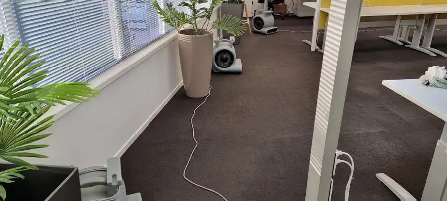 Auckland Steam 'n' Dry Carpet Cleaning