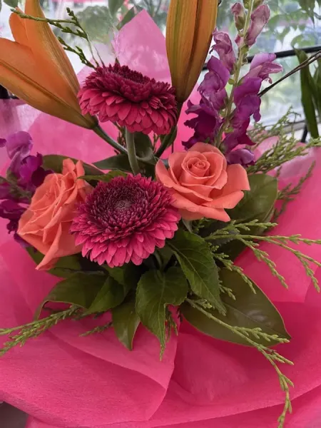 Fiordland Nurseries & Mower Centre