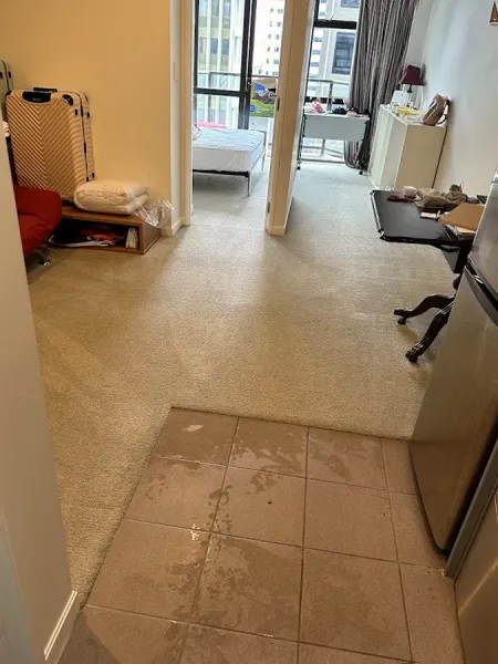 Alex Cleaning Solutions (ACS)