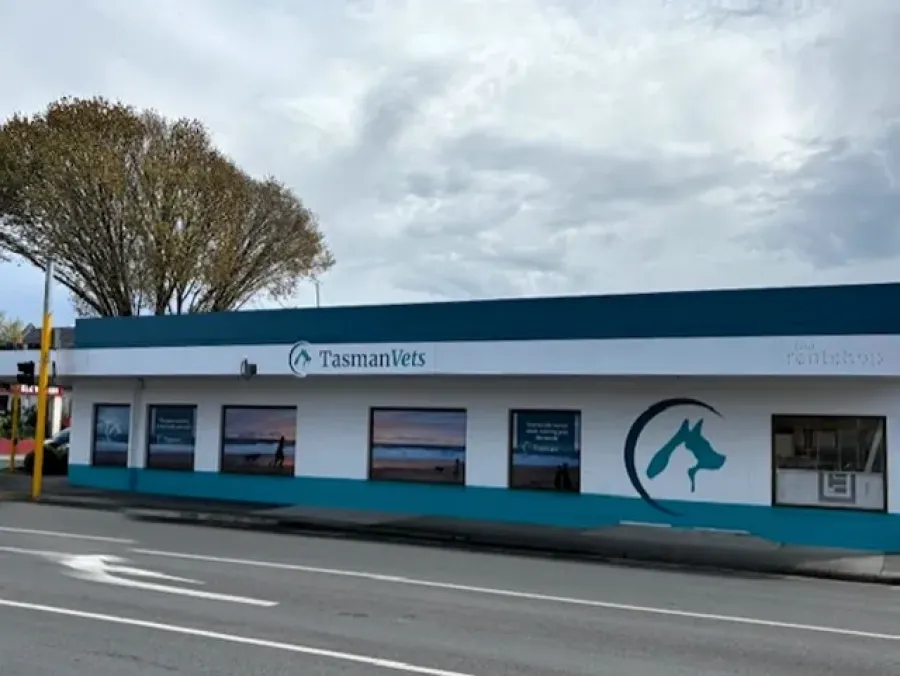 Tasman Vets