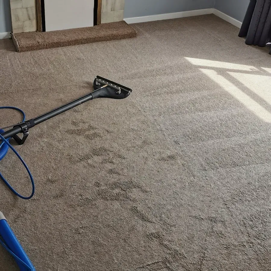 Klever Carpet Cleaning Auckland