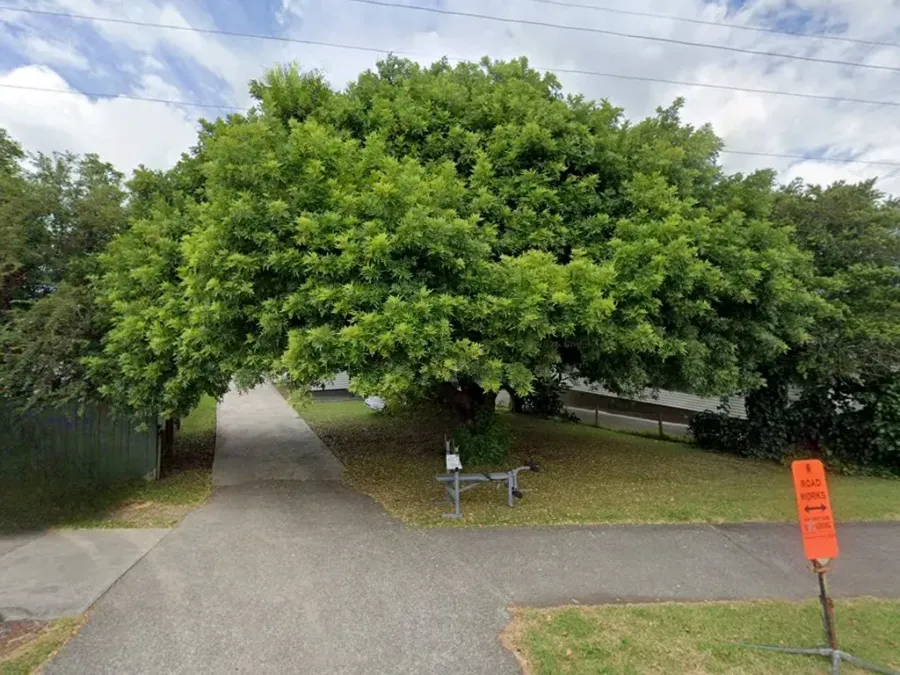 Mystic immigration NZ limited