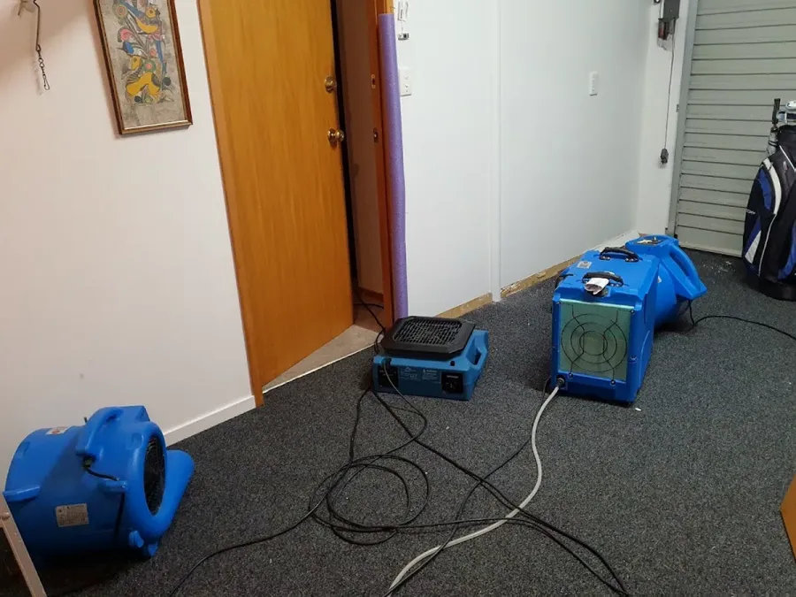 JAE Carpet Cleaning - Auckland West & Central
