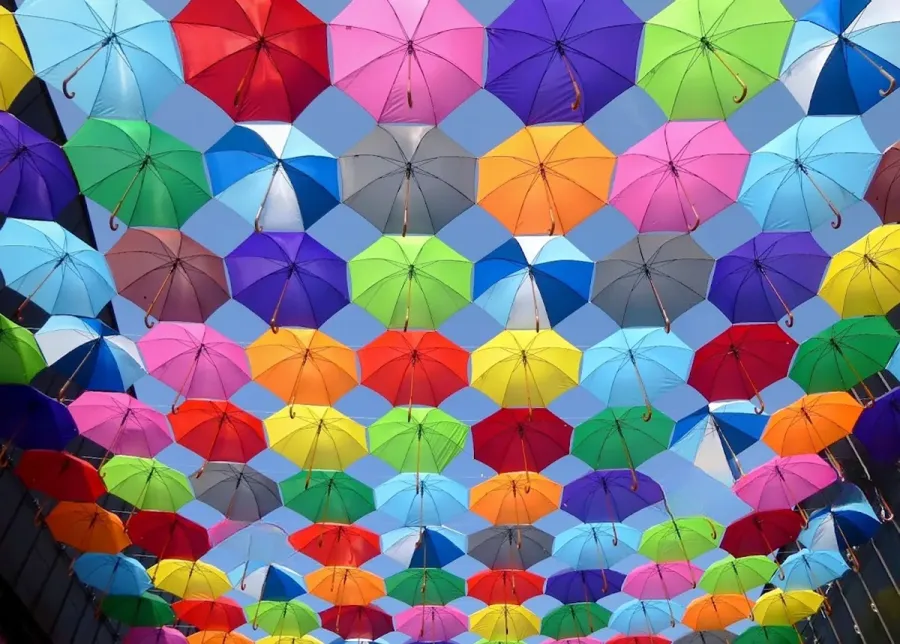 One Umbrella NZ