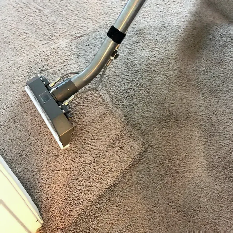 Carpet Cleaners Auckland Ltd