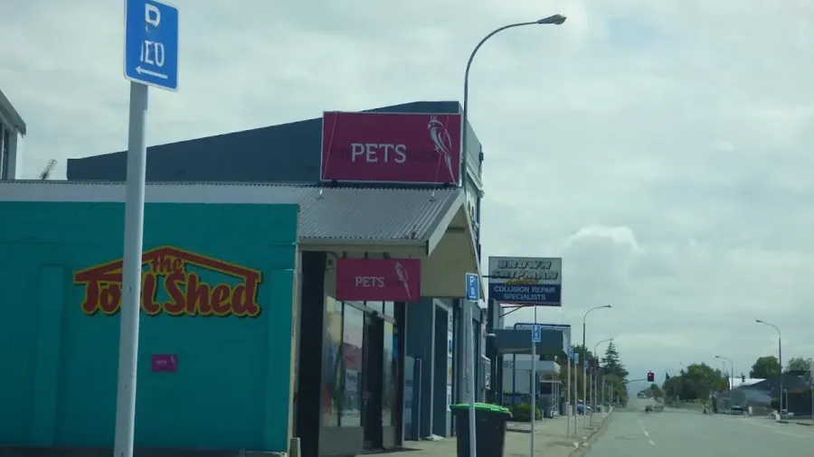For Pets Sake