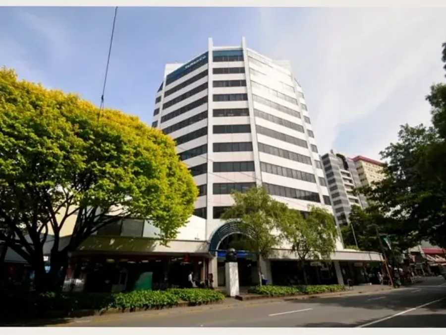 Kiwi Accountant