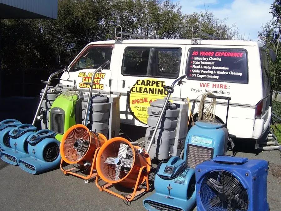 All About Carpet Cleaning