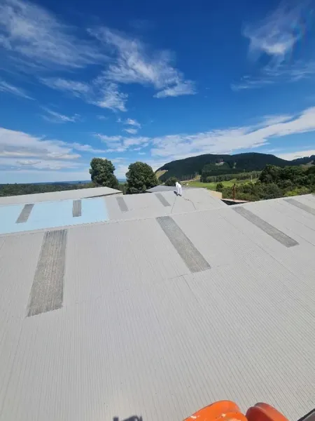 GM Painters Taupo