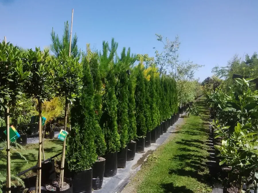 Greenleaf Nurseries