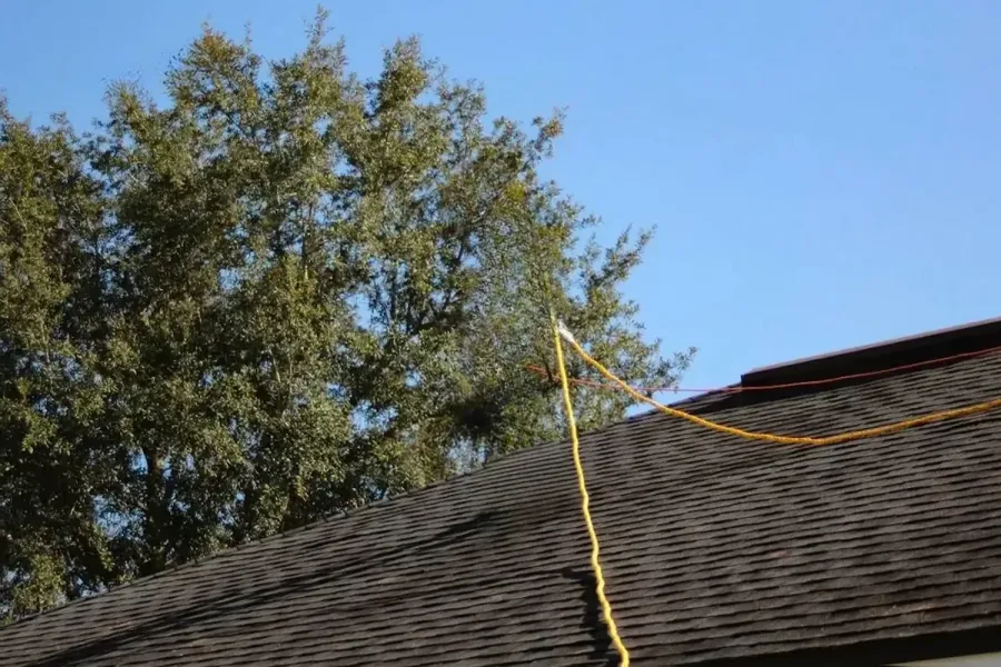 Arthurs Roof & Property