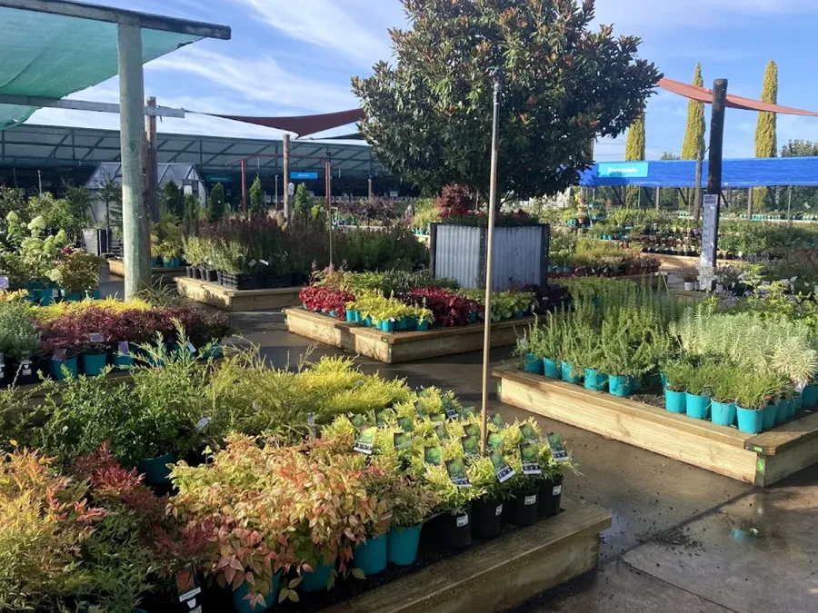 Oderings Garden Centre - Havelock North