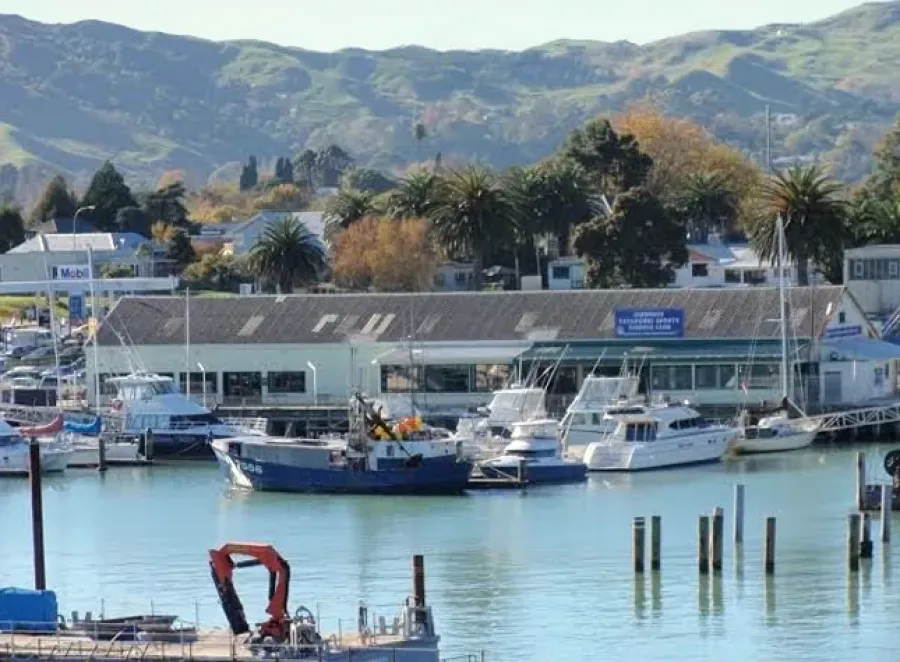 Marinaview Apartments