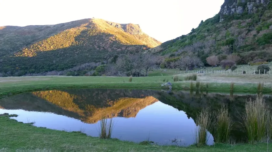 Hinewai Reserve