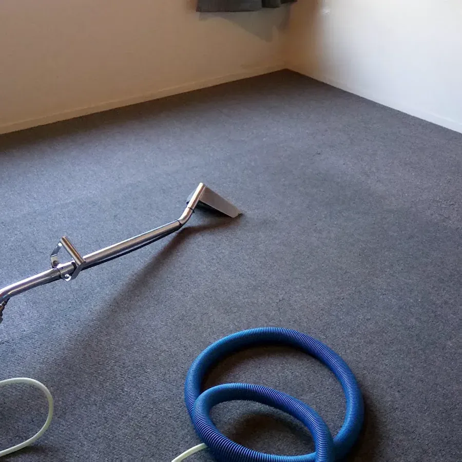 CleanPlus Carpet Cleaning