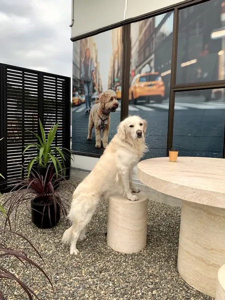 Canterbury Pet Food Co