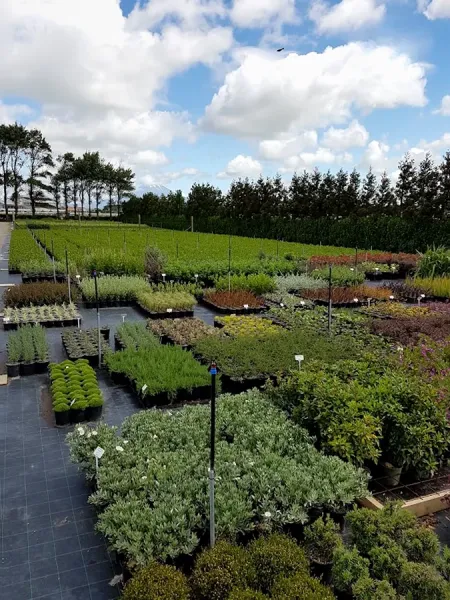 Landscape Essentials Nursery