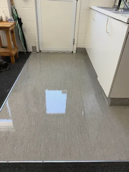 Home Clean Team