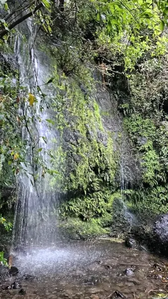 Newton's Waterfall
