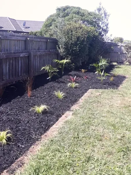 Turf and Landscape Solutions
