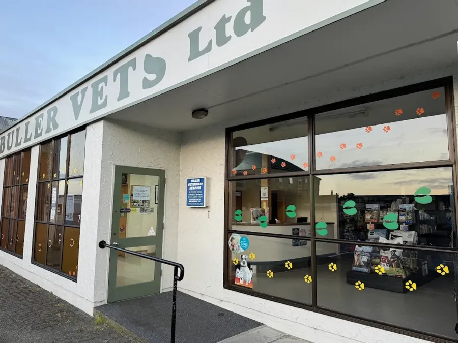 Buller Vets