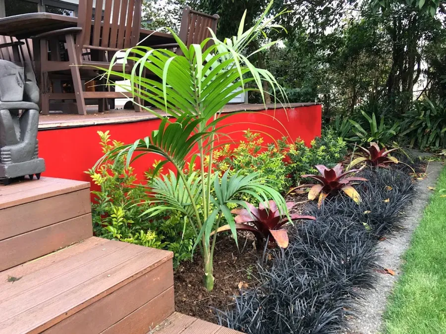 Nikau Garden Services