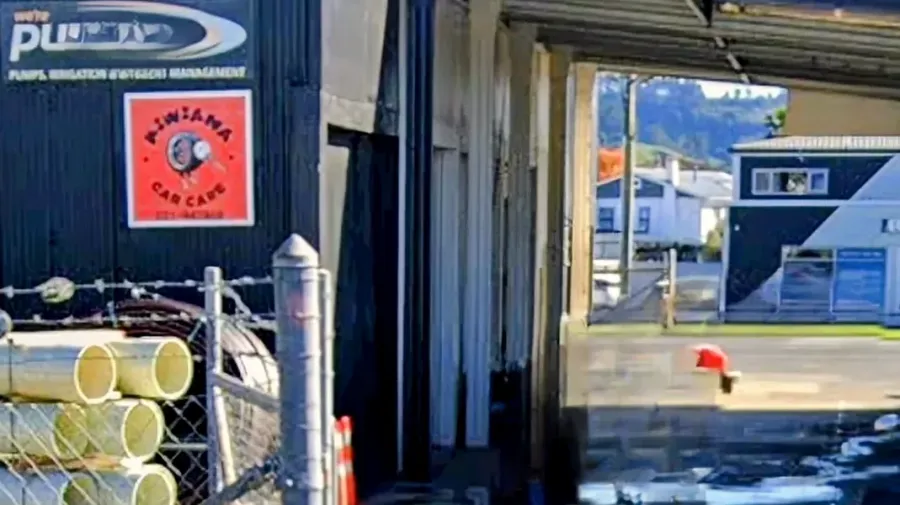 Kiwiana Car Care