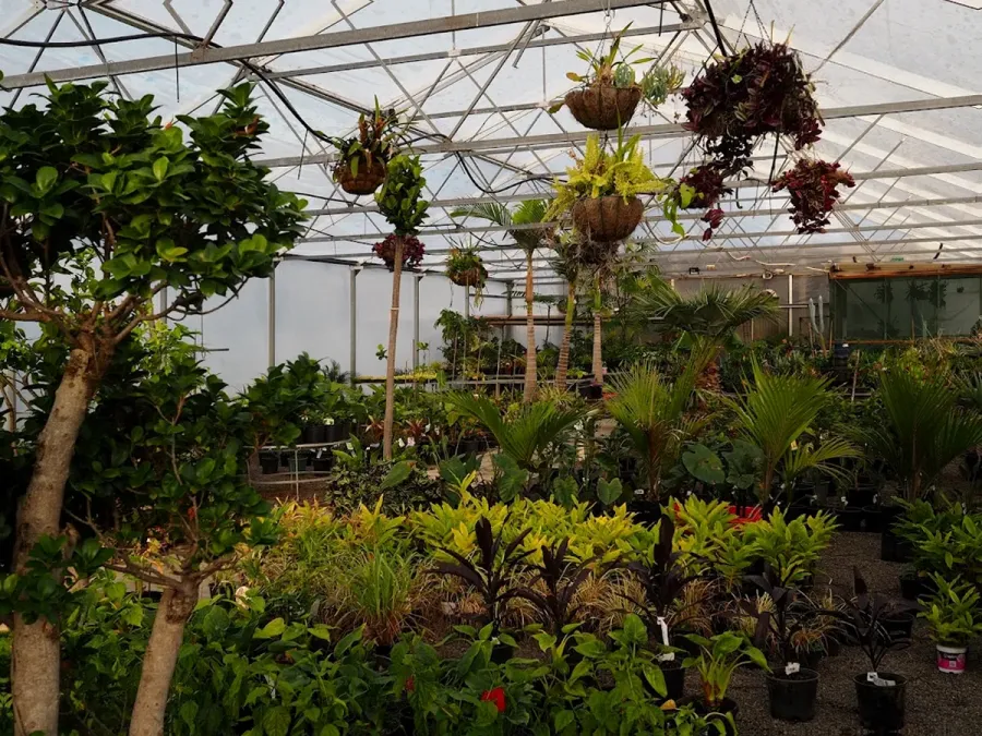Jungle Nurseries