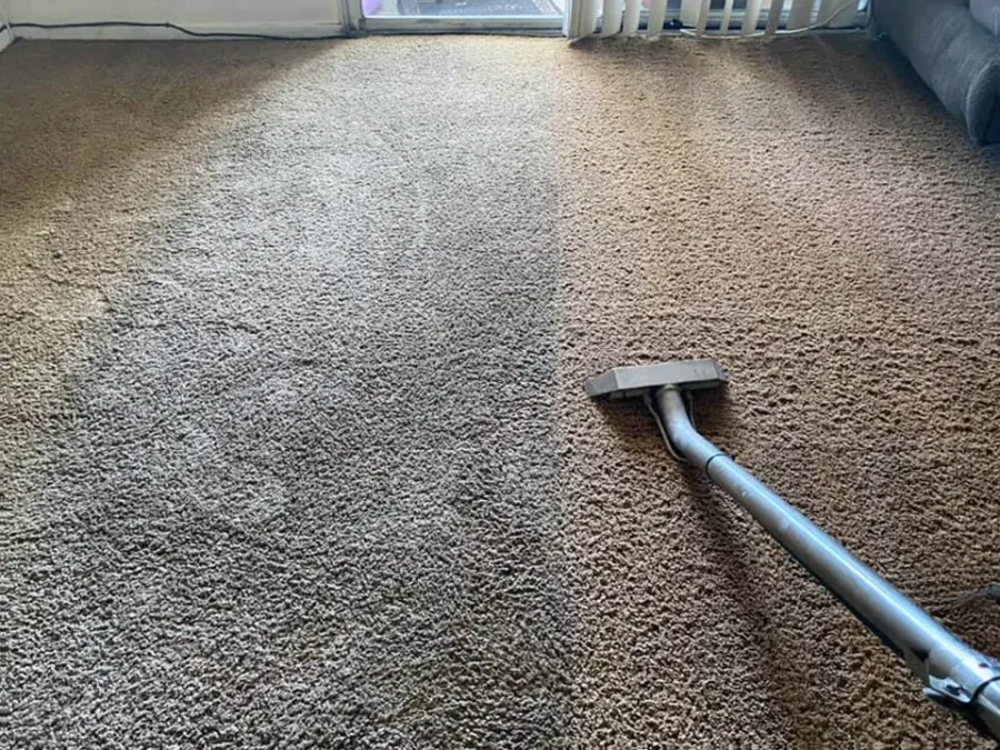 Carpet Cleaning West Auckland