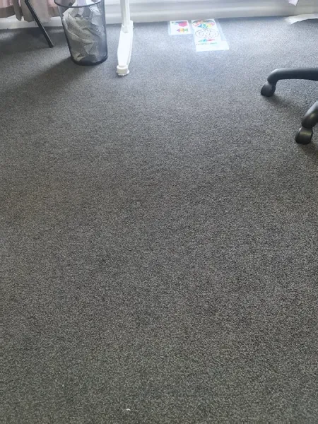 Carpet Cleaning West Auckland Pro