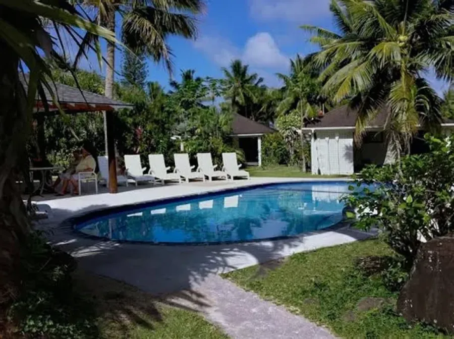Palm Grove