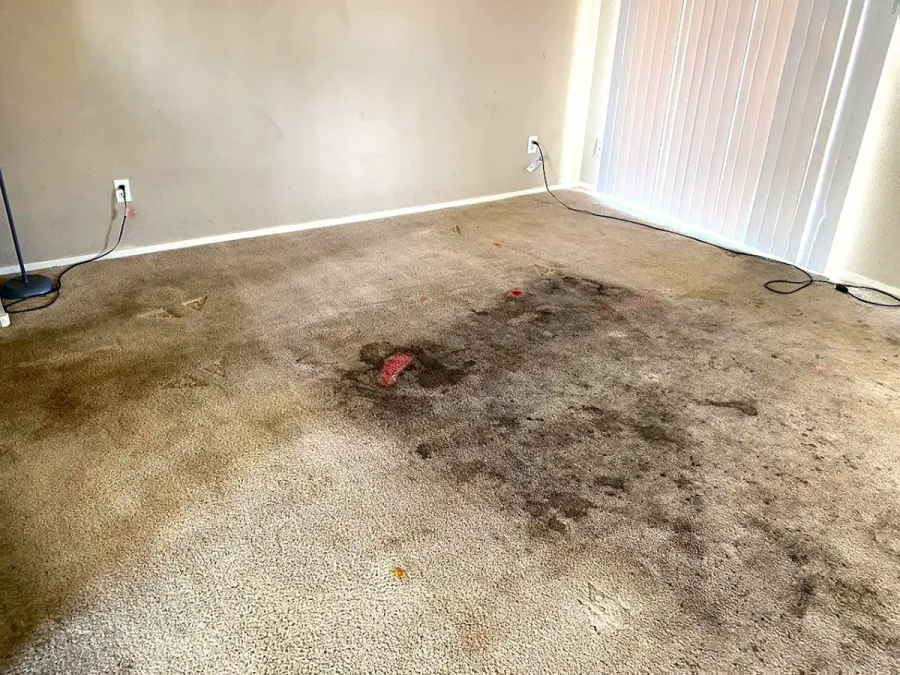 Carpet Repairs Auckland