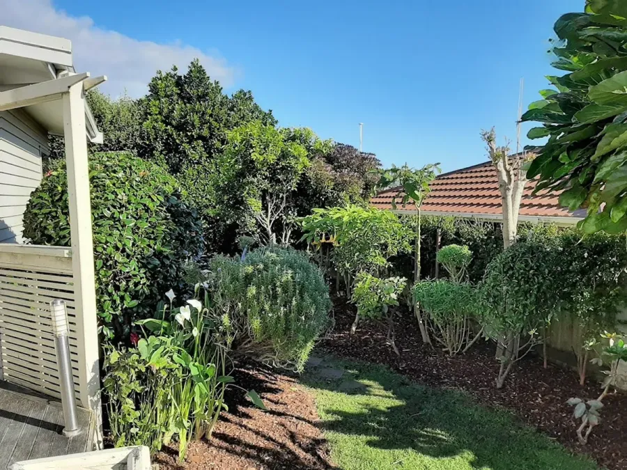 EUCY Tree Care & Landscapes Ltd