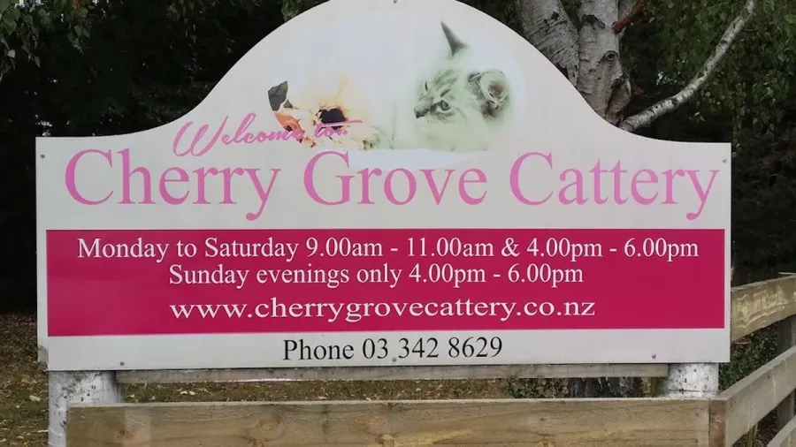 Cherry Grove Cattery