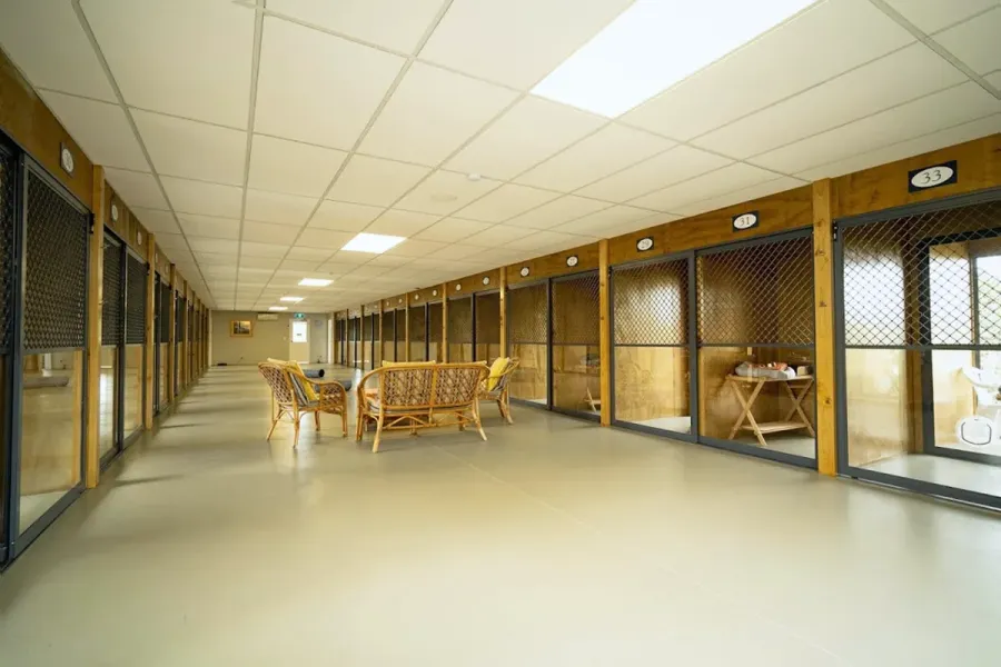 Selwyn Cattery