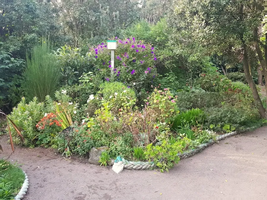 Cliff Top Garden Opunake Walkway