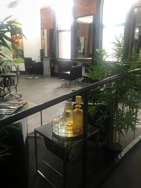Vision Hair