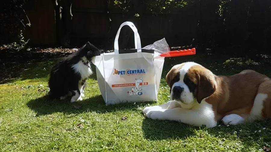Pet Central Shirley
