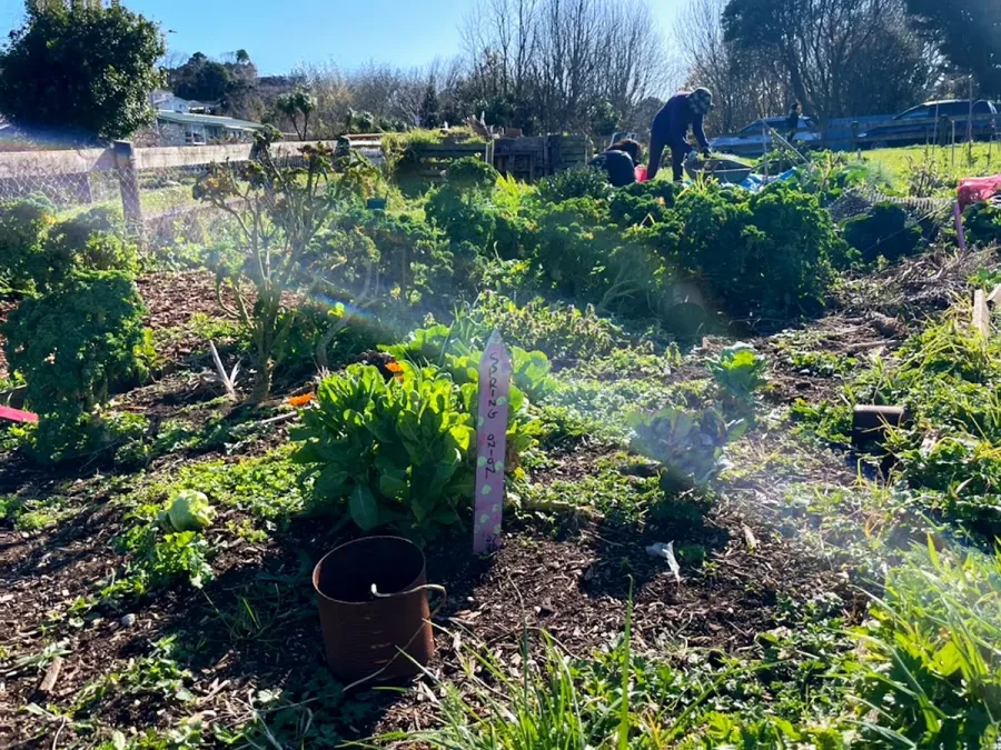 Marfell Community Garden