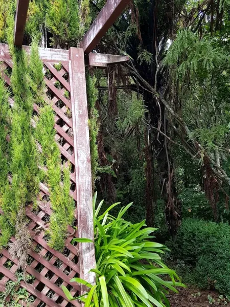 Newstart Gardens