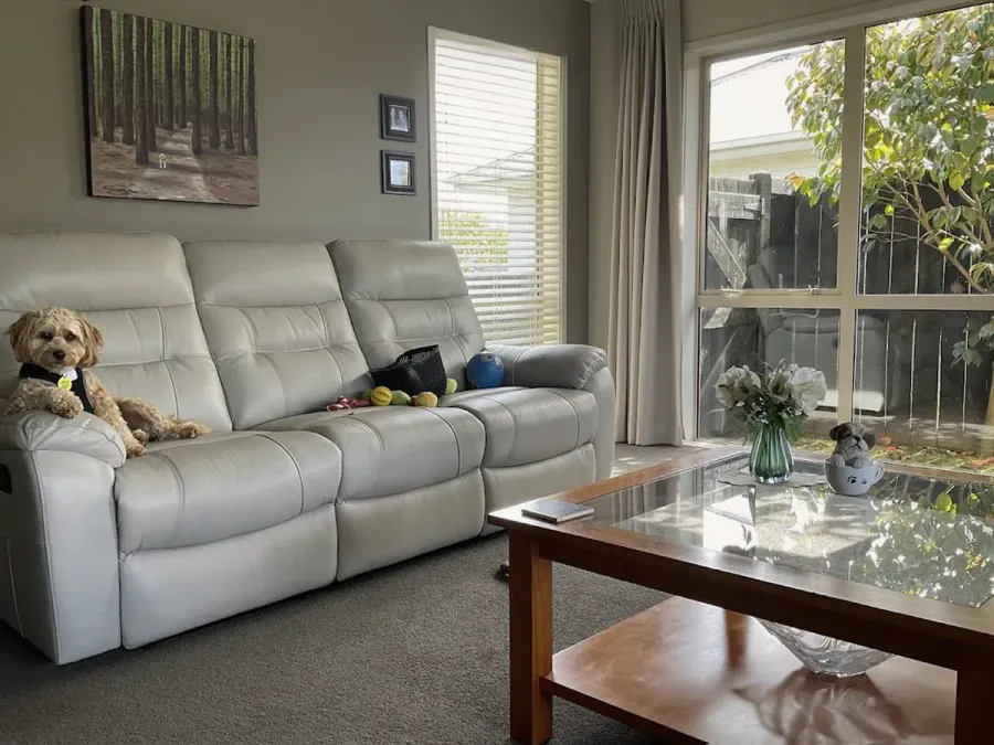 Clean Space- Commercial and Residential Cleaning Rotorua