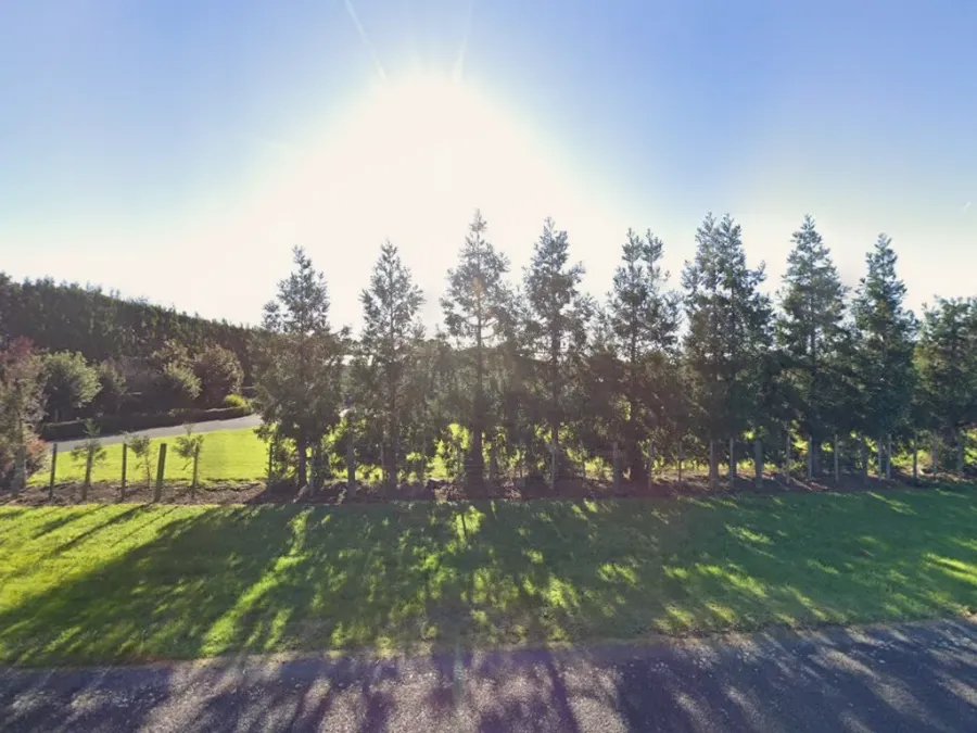 Te Karanga Nursery