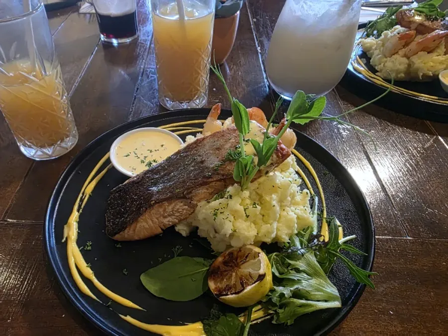 Social Club - Tauranga
