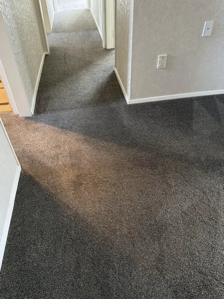 A1cleaning- Commercial and House Cleaning Services