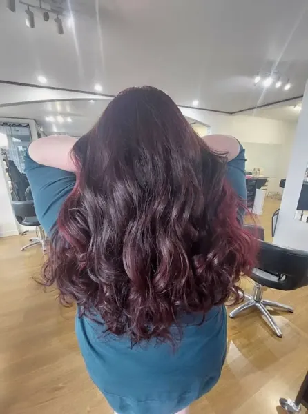 Shelley Stewart Hairstylist