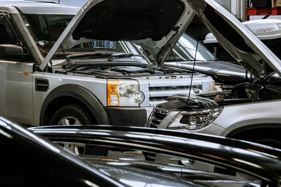 Wellington European Automotive servicing specialists