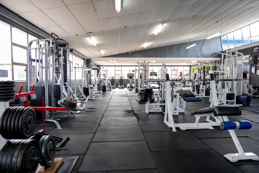 Body Focus Gym Tokoroa