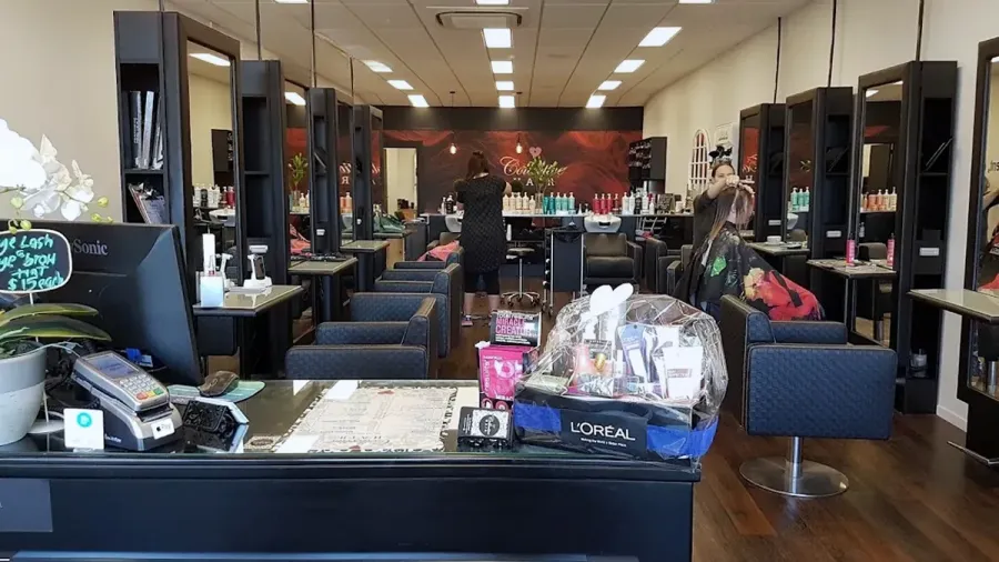 Collective Hair Design