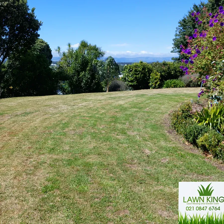 Lawn King (Manawatu) Ltd