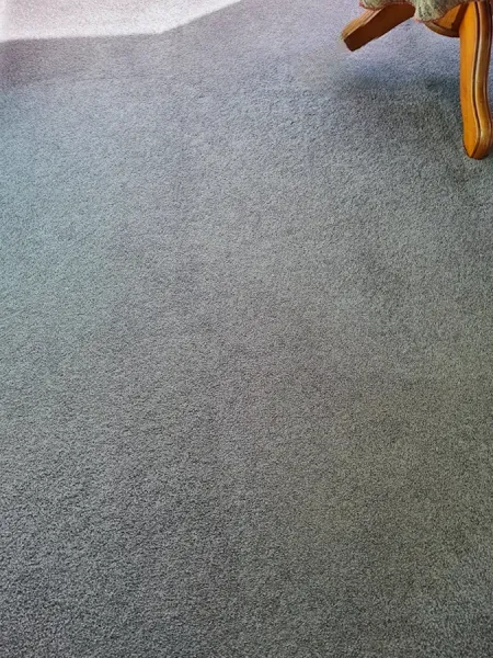 Pro-Kleen